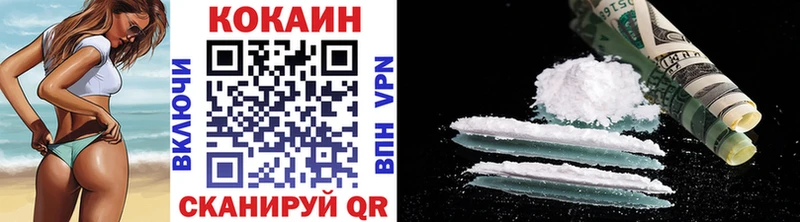 Кокаин FishScale  сколько стоит  omg   Соль-Илецк 