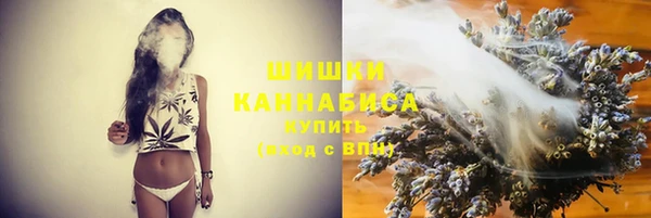 мет Елабуга