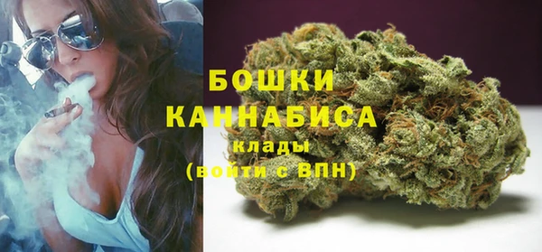 мет Елабуга