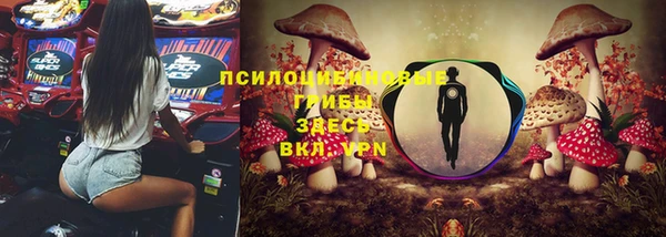 героин Ельня
