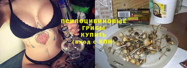 МДПВ Елизово