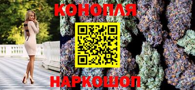 крисы Лесосибирск