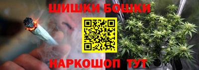 крисы Лесосибирск