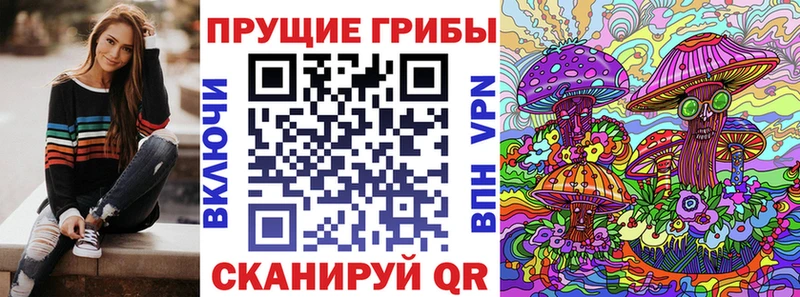 Галлюциногенные грибы Cubensis  Соль-Илецк 
