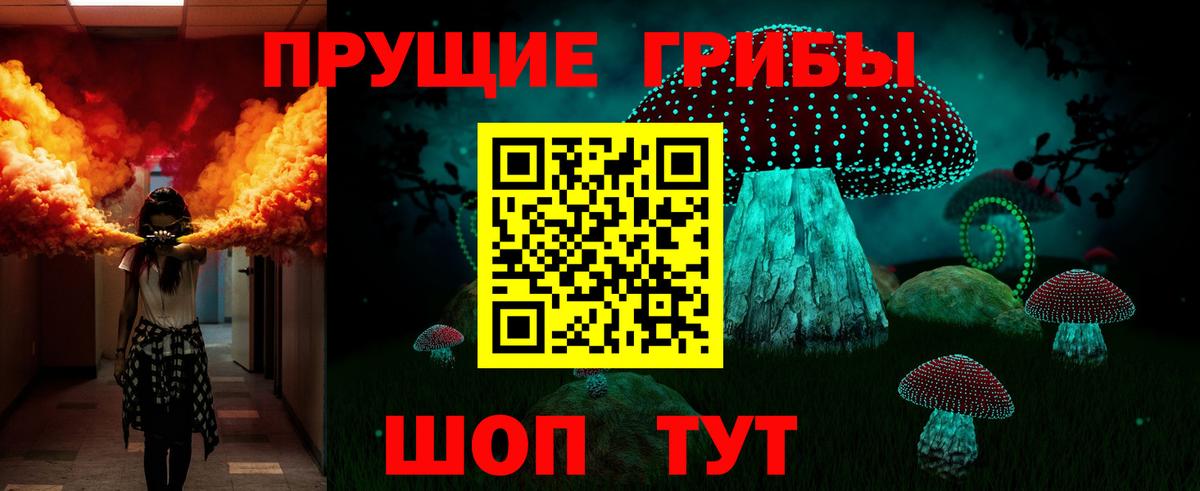 Псилоцибиновые грибы Cubensis Соль-Илецк