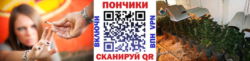 купить   Соль-Илецк  Канабис сатива 